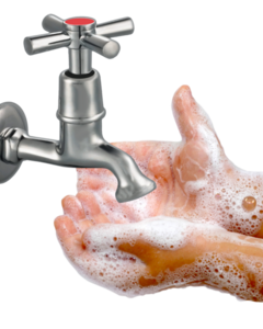 A pair of soapy hands under a running hot water tap