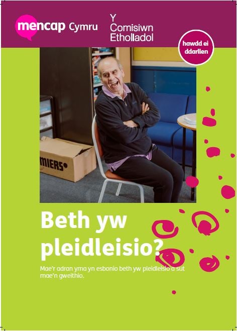 Front cover image of Beth yw pleidleisio (What is voting?)