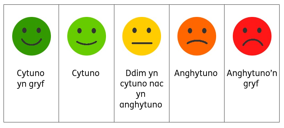 A table showing 5 faces whose expressions go from very happy to very sad