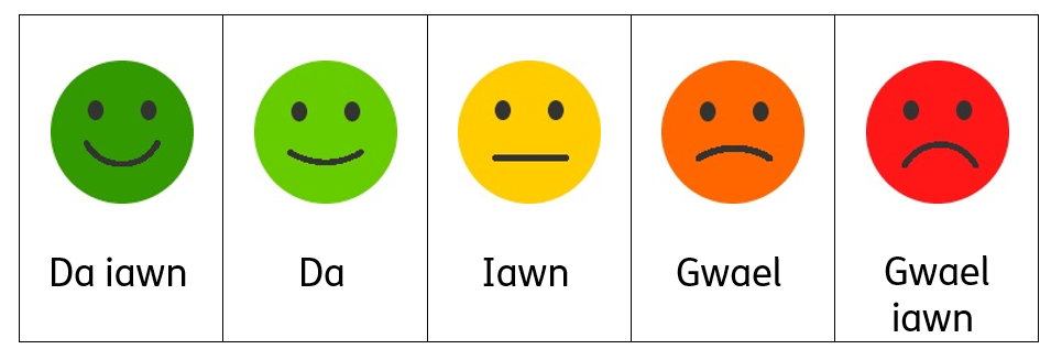A table showing 5 faces whose expressions go from very happy to very sad