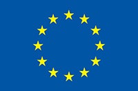 EU flag; dark blue rectangle with 12 gold stars in the middle in the circle.