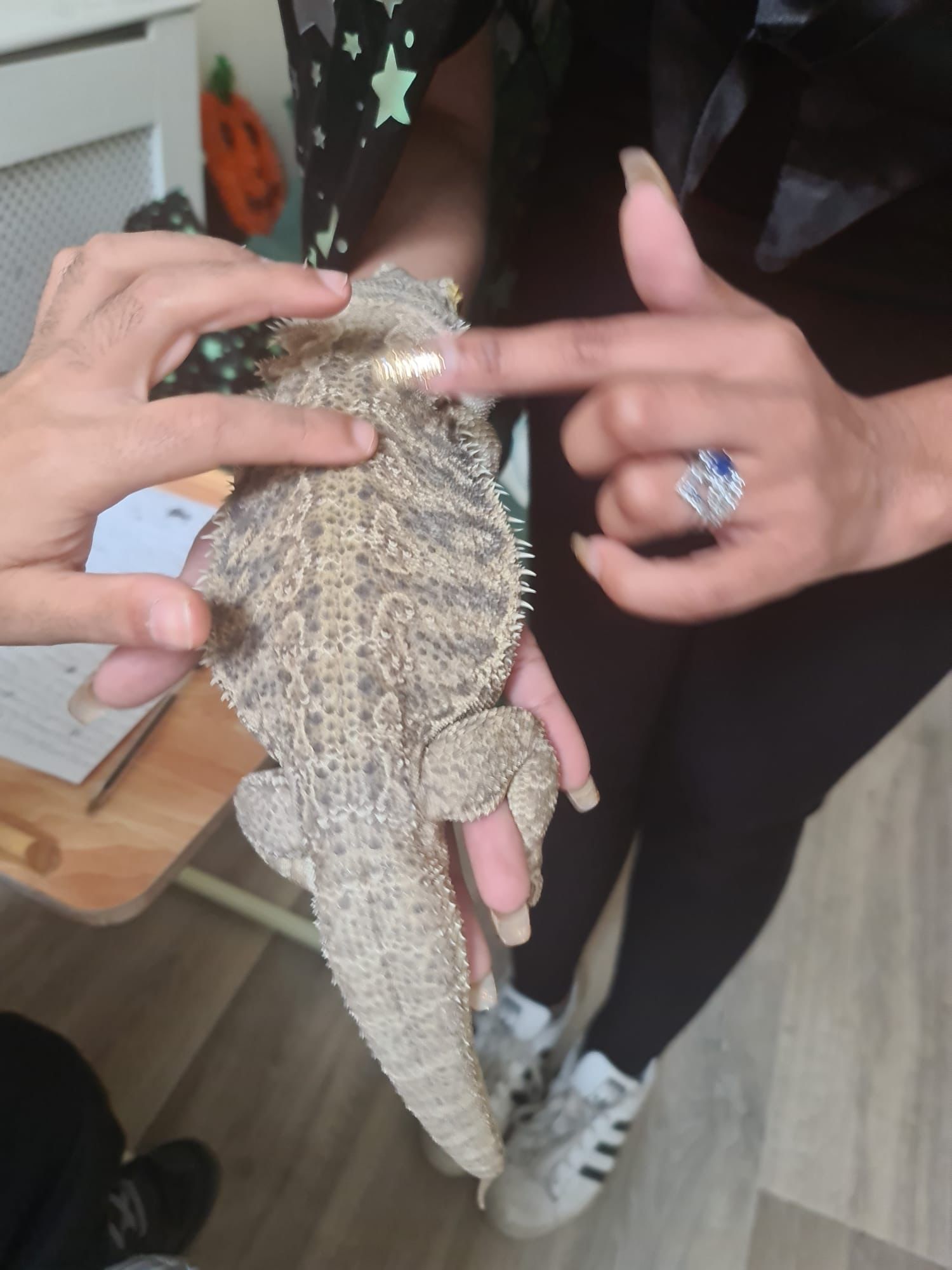 A reptile crawling over the back of someone's hand