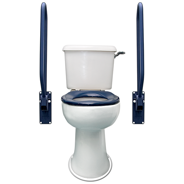an accessible toilet