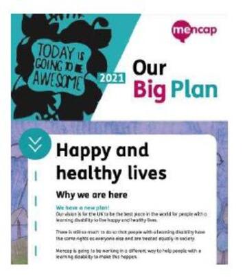 A picture of the front page of our Big Plan document