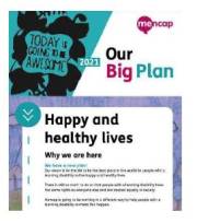 A picture of the front page of our Big Plan document