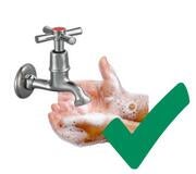 A pair of hands covered in soapy water under a running tap