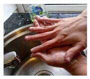 A pair of hands washing thoroughly over a sink