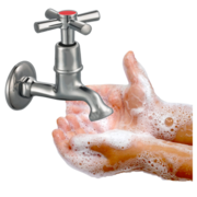  a pair of hands covered in soapy water under a running tap