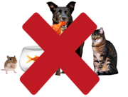 Pets including a hamster, goldfish, dog and cat with a red cross over them