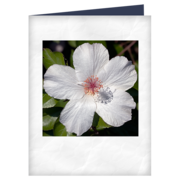 A greetings card with a flower on the front cover