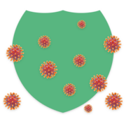 A green shield with germs of the coronavirus