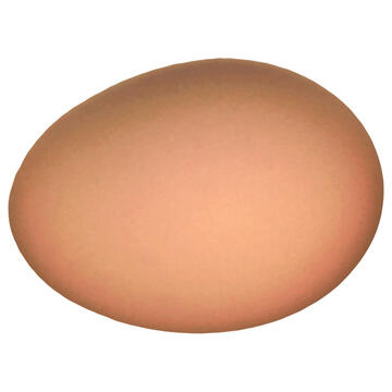 An egg.