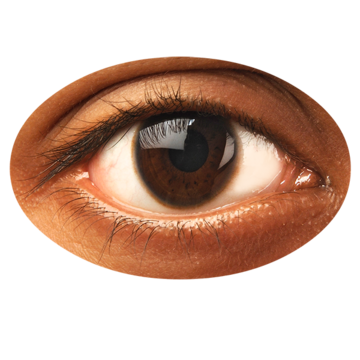 A picture of an eye up close.