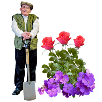 A man with a shovel next to some flowers.