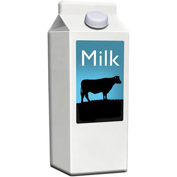 A carton of milk.