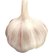 A bulb of garlic.