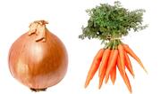 An onion and a bunch of carrots.