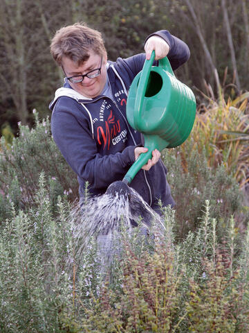 A man waters a plant using a watering can.
