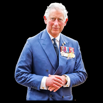 King Charles in a grey suit with medals