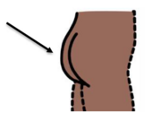 A drawing of a bottom with an arrow pointing to the back of it