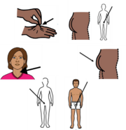 Drawings of a lump on a hand, a bottom, an arrow pointing to a persons private parts, an arrow pointing to someone's throat