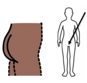A drawing of a bottom and a drawing of the outline of a person with an arrow pointing to their lower private parts