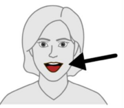 A drawing of a woman with her mouth open and an arrow pointing to it