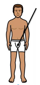 A drawing of a man wearing briefs with an arrow pointing to the front of them