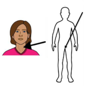 A drawing of a woman with an arrow pointing to her neck next to another drawing of the outline of a person with an arrow pointing to their lower private parts