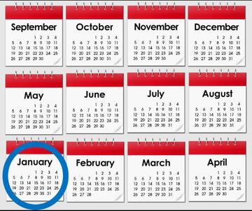 A year of calendar months. January is circled in blue.
