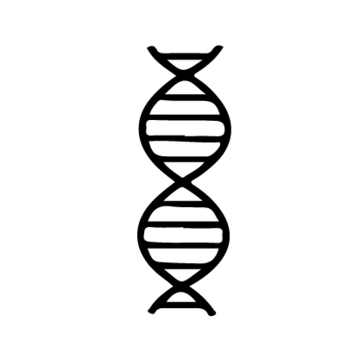 Black curving lines representing DNA and genes.