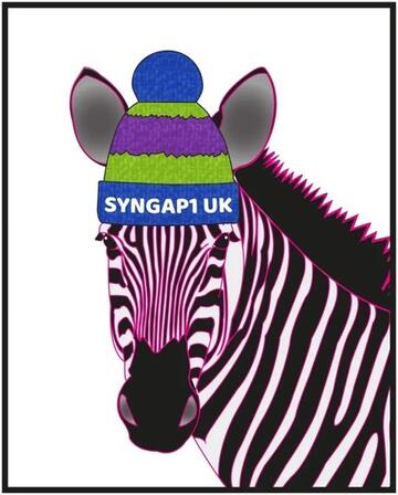 The SYNGAP1 UK logo which is a zebra wearing a wooly hat with SYNGAP1 UK on it.