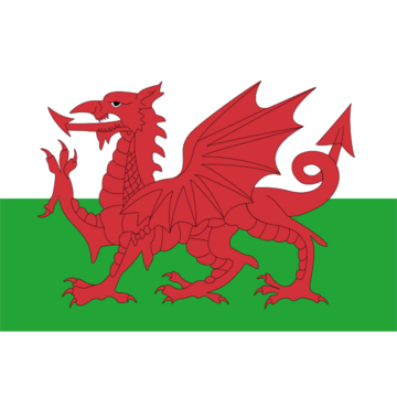 A picture of the Welsh flag: A red dragon and green grass