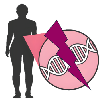 A diagram of a man next to a gene which has a zig zag through it