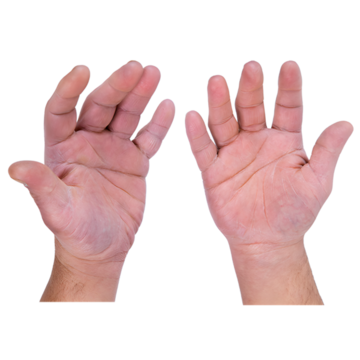 A pair of hands with palms up