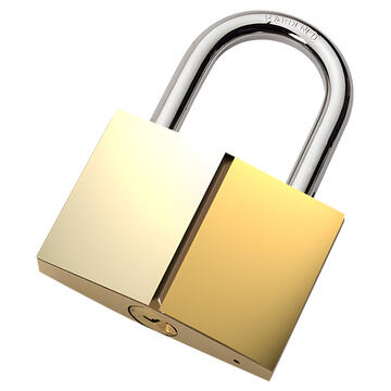 A closed padlock