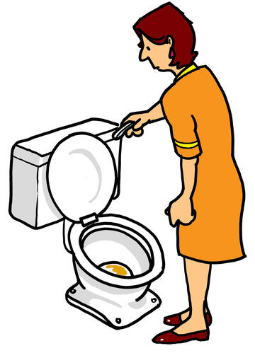 A drawing of a woman flushing a toilet