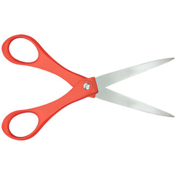 A pair of scissors.