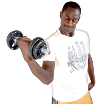 gym weights
