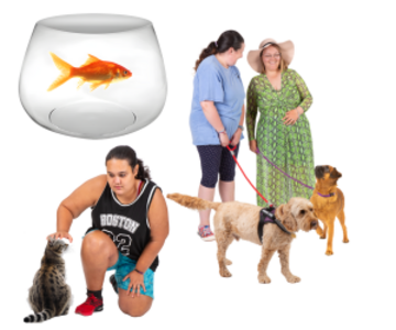 A fish in a fish bowl, two people walking their dogs and a woman stroking a cat