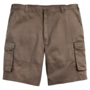 A pair of shorts.