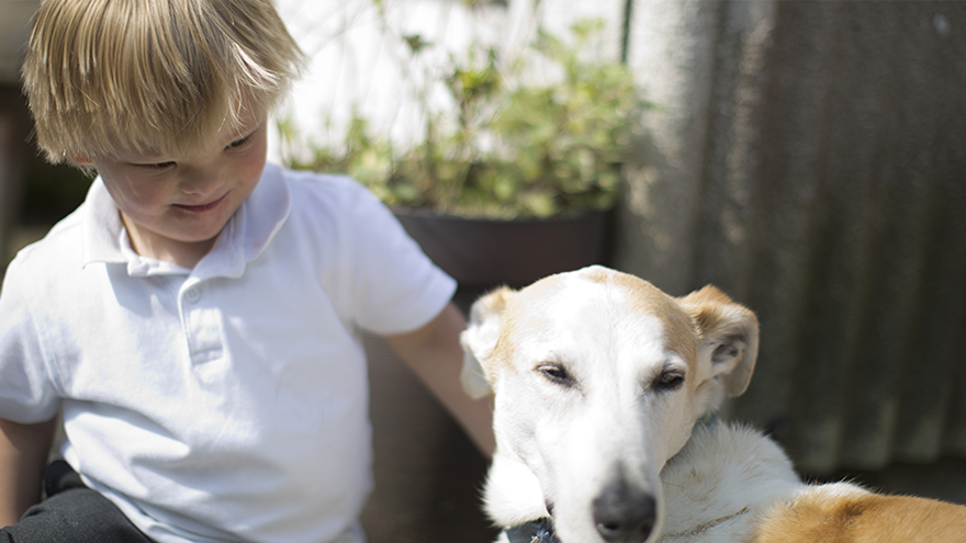 Young boy with blonde hair sat in garden petting white dog by his side.