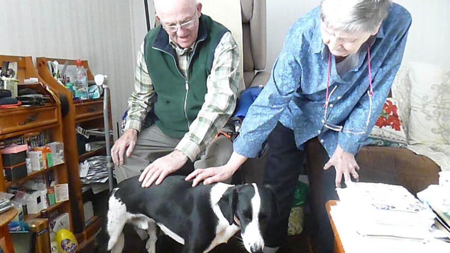 Two people in living room stroking a dog