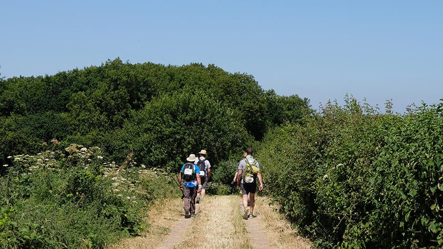 Group of four people talking on track in countryside on a sunny day
