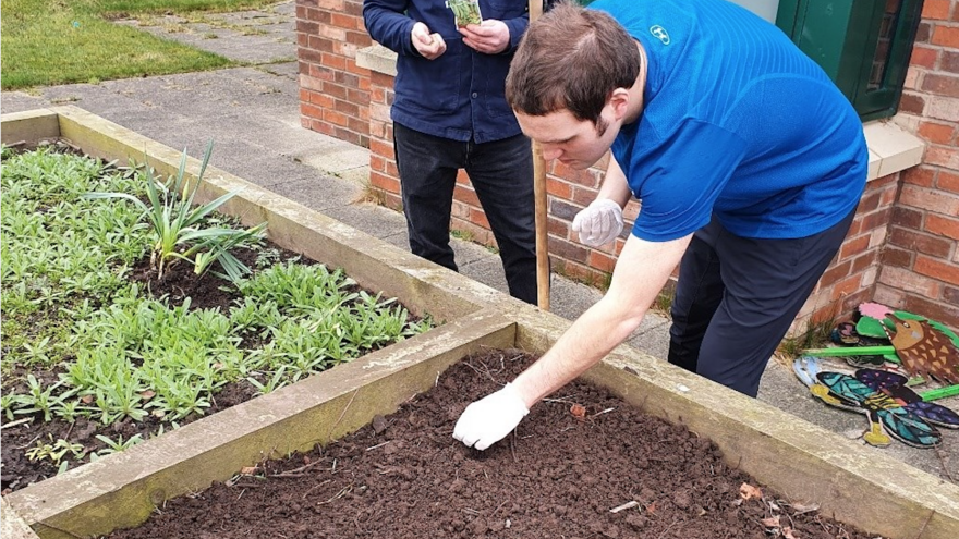 Man plants seeds