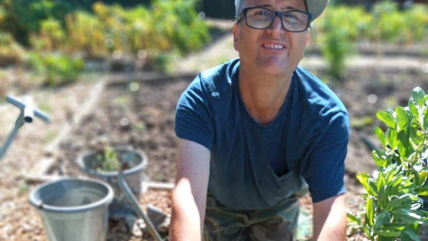 Matt tending his crop of lettuce