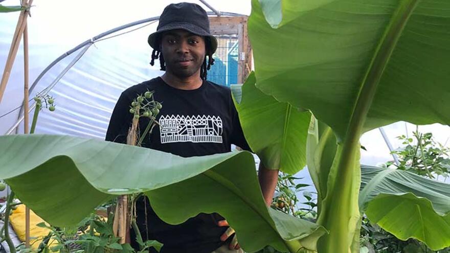 A photograph of Mel in a greenhouse behind his banana plant