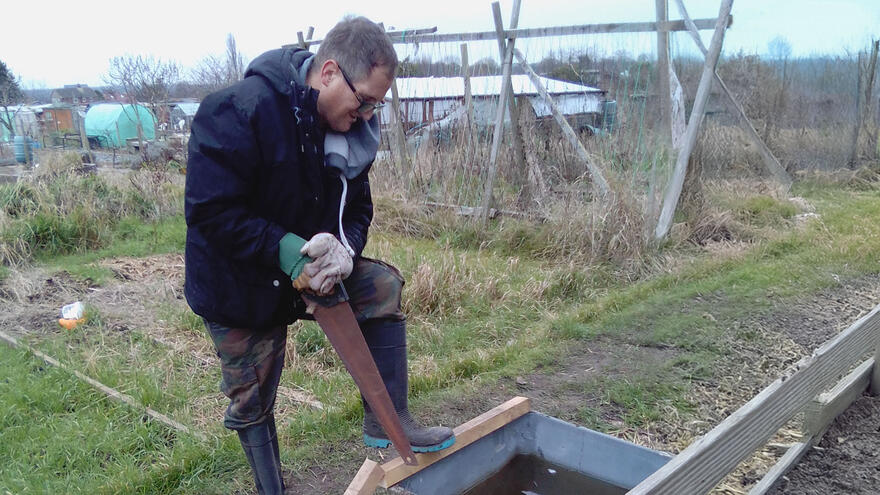 A man on an allotment using a handsaw to cut through some wood
