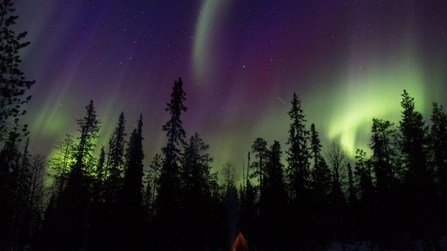 Northern Lights in winter night