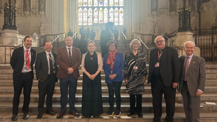 A photograph of the All Party Parliamentary Group taken on steps inside the Houses of Parliament